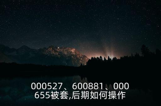 000527、600881、000655被套,后期如何操作