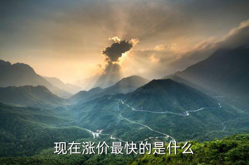 什么漲價(jià)快，大家猜猜看 什么東西會漲價(jià)的很快
