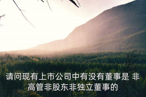 什么是非獨(dú)立董事，什么叫執(zhí)行董事非執(zhí)行董事和獨(dú)立非執(zhí)行董事
