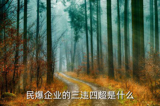 民爆企業(yè)的精髓是什么，民爆公司是甚么性質(zhì)單位