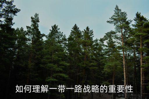 中國為什么要搞一帶一路，當(dāng)代國際社會(huì)的知識(shí)分析我國為什么要提出一帶一路的倡