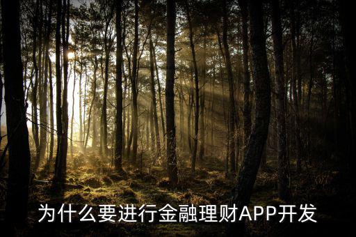 為什么要進(jìn)行金融理財(cái)APP開(kāi)發(fā)