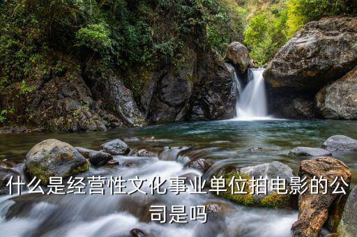 什么是經(jīng)營(yíng)性事業(yè)單位，哪些屬于經(jīng)營(yíng)性文化事業(yè)單位