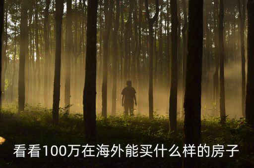 100萬在國外能買什么，看看100萬在海外能買什么樣的房子