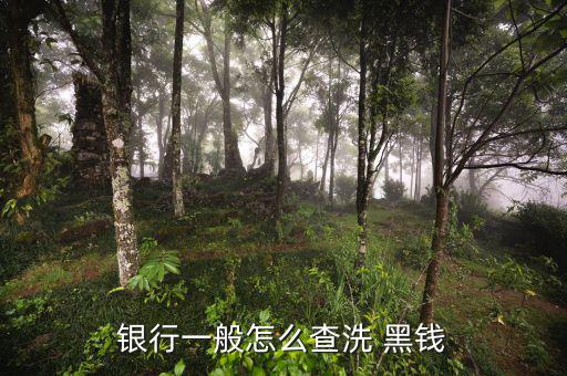 銀行一般怎么查洗 黑錢(qián)