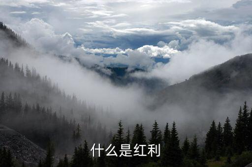 什么是全球化紅利，紅利是指什么意思