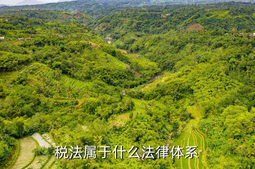 企業(yè)所得稅法屬于什么法，企業(yè)所得稅法是怎樣的