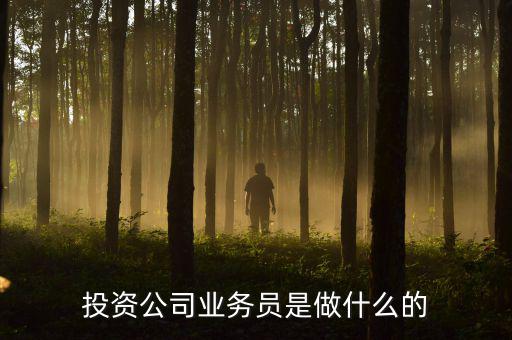 投資公司業(yè)務(wù)員是做什么的，投資公司業(yè)務(wù)員是做什么的