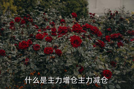 主力增減倉(cāng)什么意思，什么是主力增倉(cāng)主力減倉(cāng)