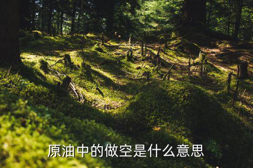 石油做空是什么意思，原油做多做空是什么意思