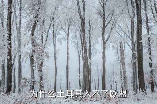 為什么土耳其無(wú)法加入歐盟，為什么土耳其入不了歐盟