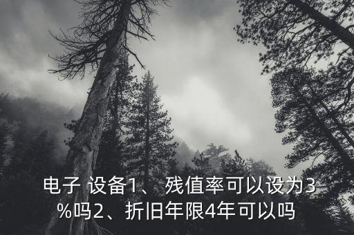  電子 設(shè)備1、 殘值率可以設(shè)為3%嗎2、折舊年限4年可以嗎