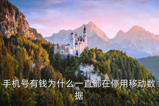 鏈動(dòng)數(shù)據(jù)為什么有錢，廣東鏈動(dòng)為什么那么多人認(rèn)同和喜歡