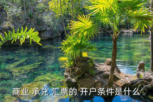 商業(yè) 承兌 匯票的 開(kāi)戶條件是什么