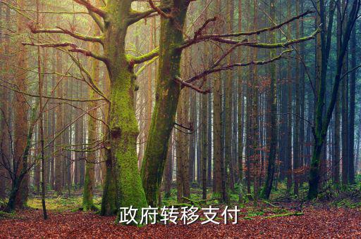 為什么政府提供實物轉移支付，一個國家為什么要執(zhí)行轉移支付制度