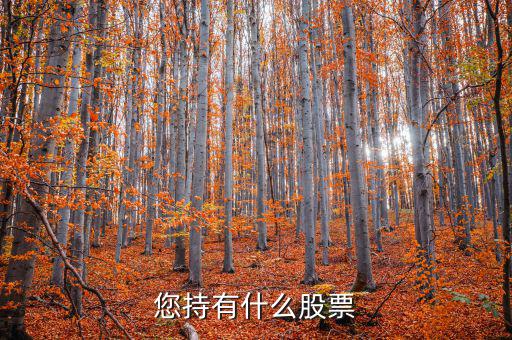 張正委持有什么的股票，香港中央代理人持有哪些股票