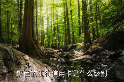 工商銀行的黑卡有什么權(quán)限，工行是不是出了一款運通黑卡啊我想問的是想申請運通黑卡要在當?shù)?/></a></span><span id=