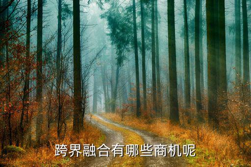 什么是跨界融合，跨界融合有哪些商機(jī)呢