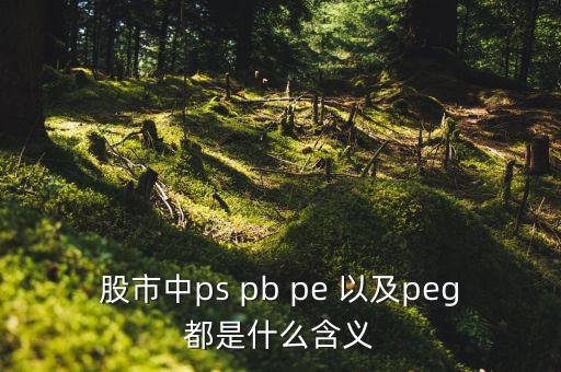 股市peg是什么意思，請問在股市里的PEG是什么意思和股價的關(guān)系怎樣多謝