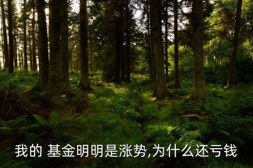 我的 基金明明是漲勢(shì),為什么還虧錢(qián)