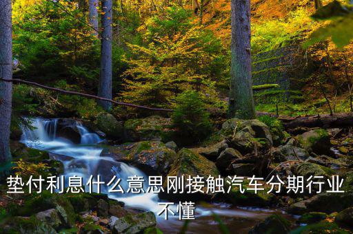 墊付利息是什么意思，紅利保險會自動墊付期間會出利息