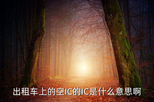 什么是ic空白卡，IC卡是什么