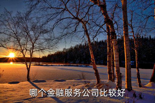 綜合性金融服務(wù)機(jī)構(gòu)是什么，安邦保險(xiǎn)是綜合性的金融公司嗎它主要經(jīng)營哪些業(yè)務(wù)