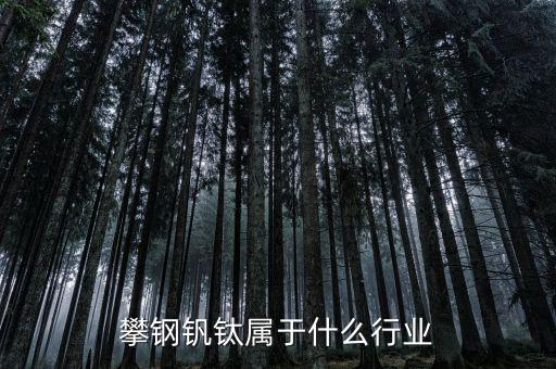 釩鈦產(chǎn)業(yè)屬于什么行業(yè)，攀鋼釩鈦屬于什么行業(yè)