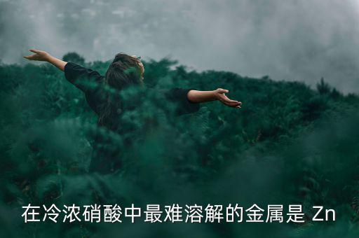 什么金屬易融難化，最不容易融化的金屬是什么想對來說便宜一點的是什么