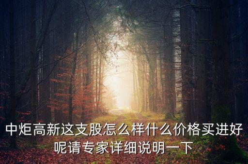 中炬高新這支股怎么樣什么價格買進(jìn)好呢請專家詳細(xì)說明一下