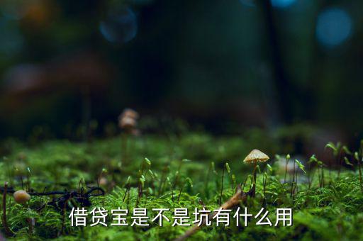 借貸寶賺利差什么意思，借貸寶賺利差是什么意思