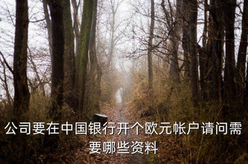公司要在中國(guó)銀行開(kāi)個(gè)歐元帳戶請(qǐng)問(wèn)需要哪些資料