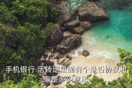 手機(jī)銀行 活轉(zhuǎn)定里面有個是否協(xié)議利率是多少意思