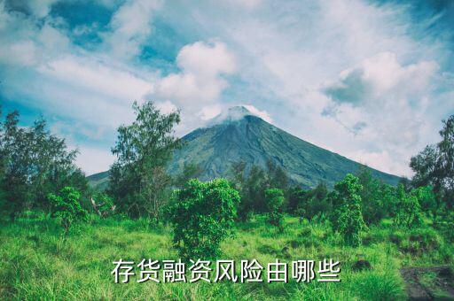 存貨類融資包括什么，結(jié)構(gòu)融資的分類