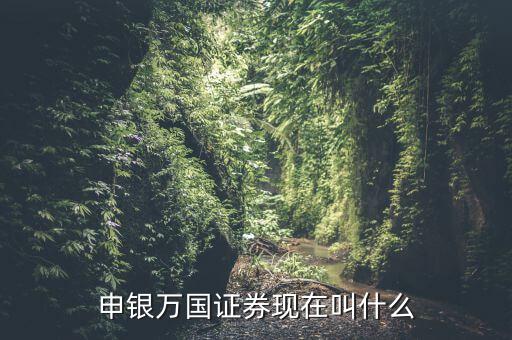 申銀萬國并什么證券公司了，申銀萬國證券現在叫什么