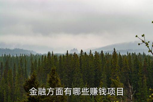 金融里什么賺錢，金融方面有哪些賺錢項(xiàng)目