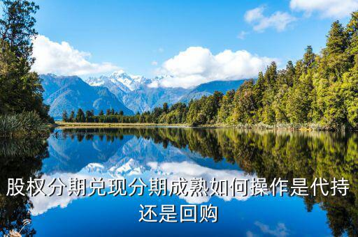 什么叫股權(quán)成熟期，VCPE什么意思
