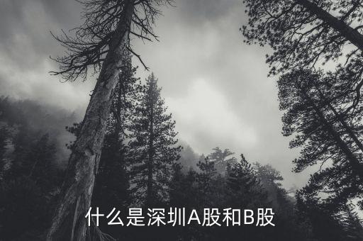 深圳b股是什么，B股指的是什么
