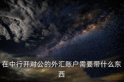 在中行開(kāi)對(duì)公的外匯賬戶需要帶什么東西
