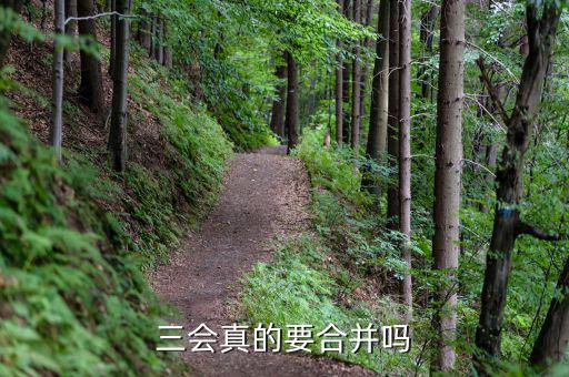 一行三會什么時候合并，三會真的要合并嗎