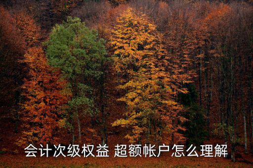 會(huì)計(jì)次級權(quán)益 超額帳戶怎么理解