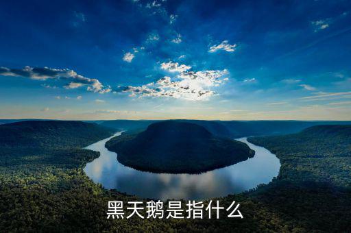 什么叫3大黑天鵝，黑天鵝是指什么
