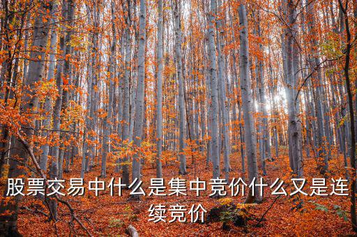 集合競價(jià)是什么意思，股票交易中什么是集中競價(jià)什么又是連續(xù)競價(jià)