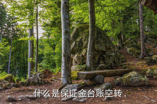什么是資金空轉(zhuǎn)，資金沖轉(zhuǎn)的含義是什么名詞解釋