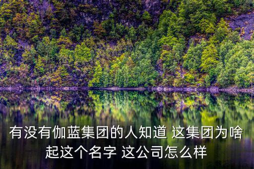 伽藍集團為什么不上市，伽藍集團是一家什么企業(yè)
