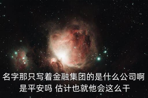 中生金控屬什么企業(yè)，我國四大金融控股公司是什么