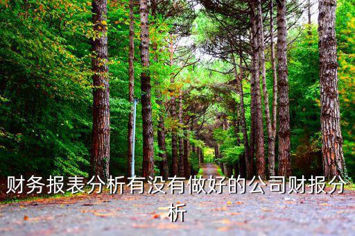 初學者財務(wù)分析分析什么公司，投資公司財務(wù)分析范文