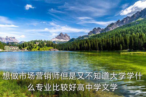 想做市場(chǎng)營(yíng)銷師但是又不知道大學(xué)學(xué)什么專業(yè)比較好高中學(xué)文學(xué)