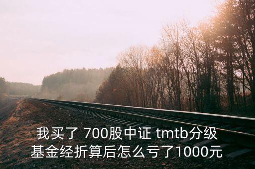 tmtb基金是什么股票，我買了 700股中證 tmtb分級基金經(jīng)折算后怎么虧了1000元