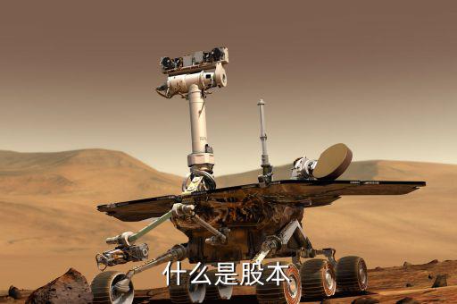 股票股本是什么意思，股本的概念